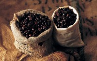 /album/kava/arabica-catura-coffee-bean-desktop-wallpaper-jpg/